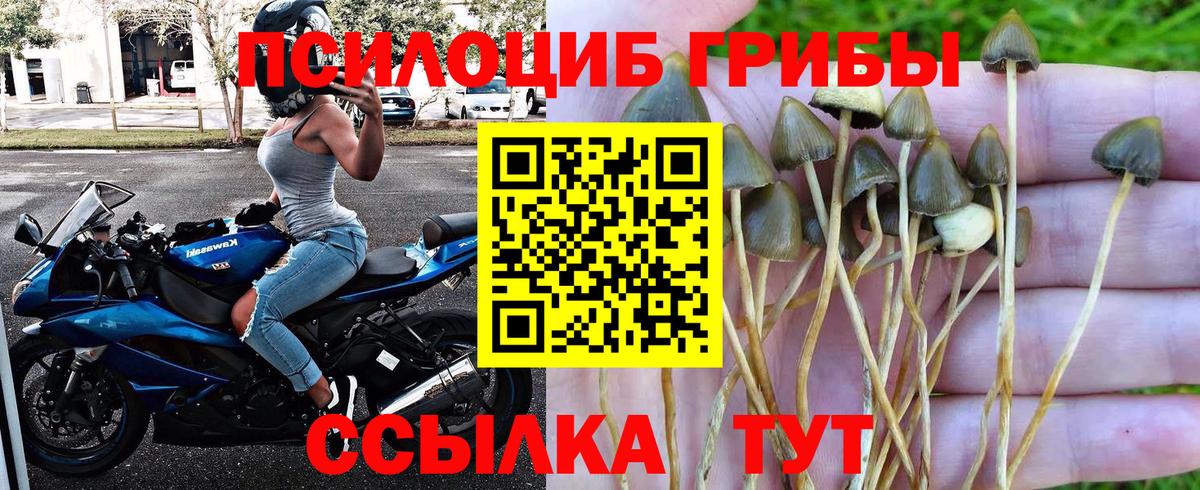 Галлюциногенные грибы Magic Shrooms Сафоново