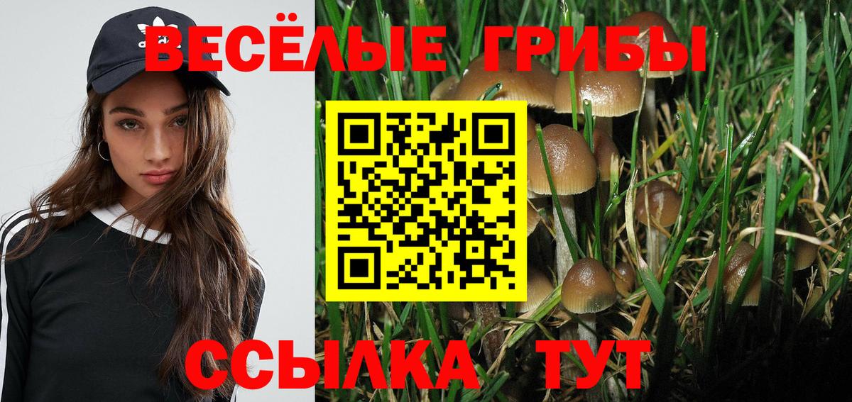 Сафоново  Псилоцибиновые грибы MAGIC MUSHROOMS  Вход с VPN 